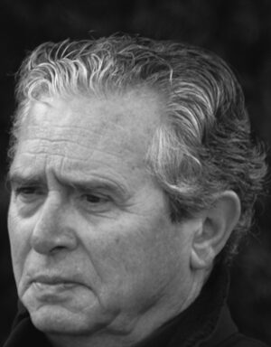 Herminio Trigo